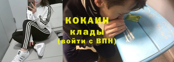 стаф Кукмор